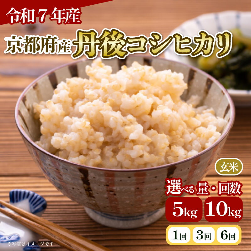 【ふるさと納税】 令和7年産 玄米 丹後コシヒカリ 5kg 10kg 選べる 容量 回数 単品 / 定期便 3回 / 6回 （米 こめ 玄米 国産 ブランド米 取り寄せ 京都 ごはん コシヒカリ 2025年度 JA JA京都 京都府産 京都府）