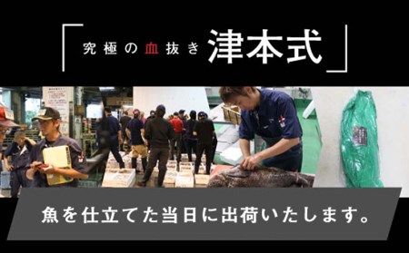 《津本式》西米良サーモン１尾 ～津本光弘本人仕立て～