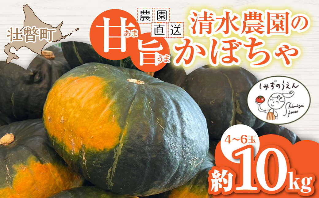 ＜2026年9月初旬よりお届け＞【農園直送】清水農園のかぼちゃ(甘旨）約10kg (4〜6玉) SBTO013