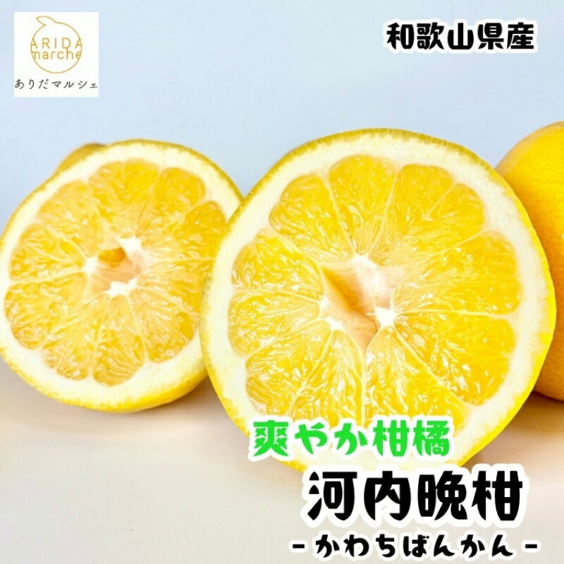 【ふるさと納税】 爽快 柑橘 有田 育ちの爽やか 河内晩柑 家庭用 / 宇和ゴールド ジューシー オレンジ 愛南ゴールド ナダオレンジ 天草晩柑 夏文旦 和歌山 ※2027年4月上旬～5月下旬に順次発送 ※北海道・沖縄・その他離島地域は発送不可 //hassaku