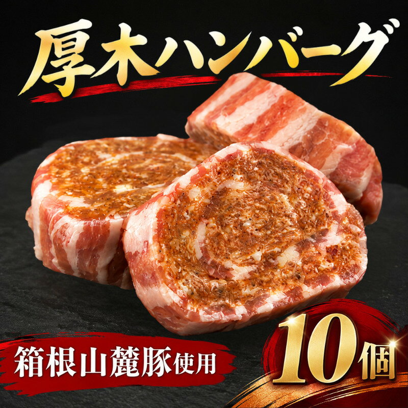 【ふるさと納税】 先行予約 厚木 ハンバーグ 10個 セット 箱根山麓豚 ブランド豚 オリジナル ポーク 味付 味噌 とん漬け 豚 豚肉 肉 お肉ミルフィーユ ミルフィーユハンバーグ ロールステーキ 冷凍 国産 ギフト 贈答 神奈川県 厚木市 株式会社富塚商店