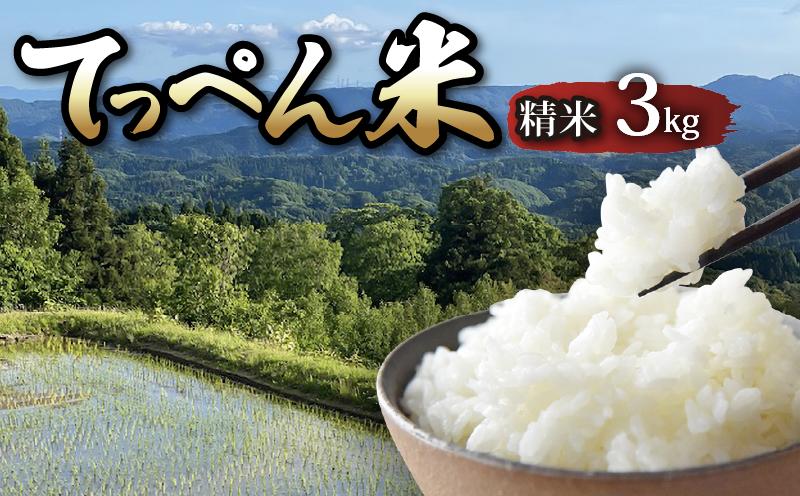
                  【令和8年産 新米 先行予約】 コシヒカリ 精米 3kg 神子原 てっぺん米 数量限定 こだわり もっちり 甘み  hakumai ※ ご飯 ごはん おいしい 美味しい 神子原てっぺん米 神子原頂上米 こしひかり ブランド米 銘柄米 石川県 石川 能登 羽咋 支援 応援 復興応援 復興支援 お米 米 白米 はくまい おこめ こめ kome okome せいまい seimai ふるさと納税米 
                