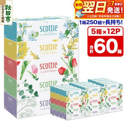 ふるさと納税 秋田市 ティッシュ スコッティ フラワーボックス 250組 5箱×12パック|15_nsc-071201