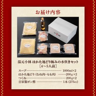 湯元小林 はかた地どり極みの水炊きセット《4～5人前》_水炊き セット 4人前 ～ 5人前 はかた地どり 自慢 絶品グルメ 博多水炊き こだわり 濃厚 スープ 究極のスープ 奥深い なめらか 味わい 