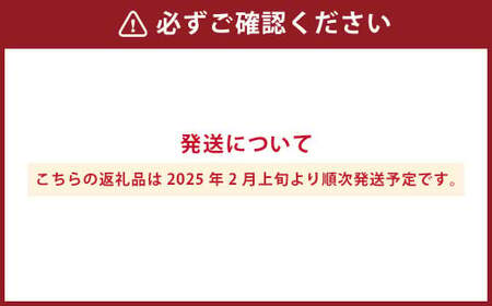 熊本県産いちご 恋みのり2キロ（8パック） 【2026年2月上旬発送開始】