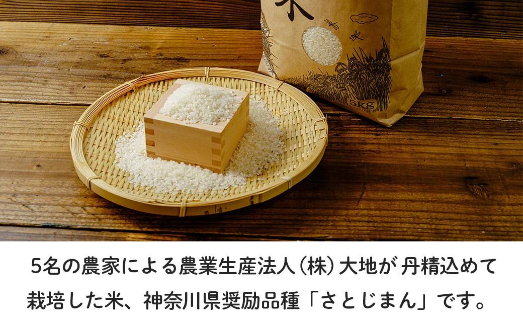 【令和7年新米】秦野のお米（さとじまん）5kg （11月～順次発送）| 神奈川県産 秦野市 大地 5kg 5キロ 米 こめ コメ お米 白米 精米 お取り寄せ 贈答 人気 ランキング ごはん ご飯 贈