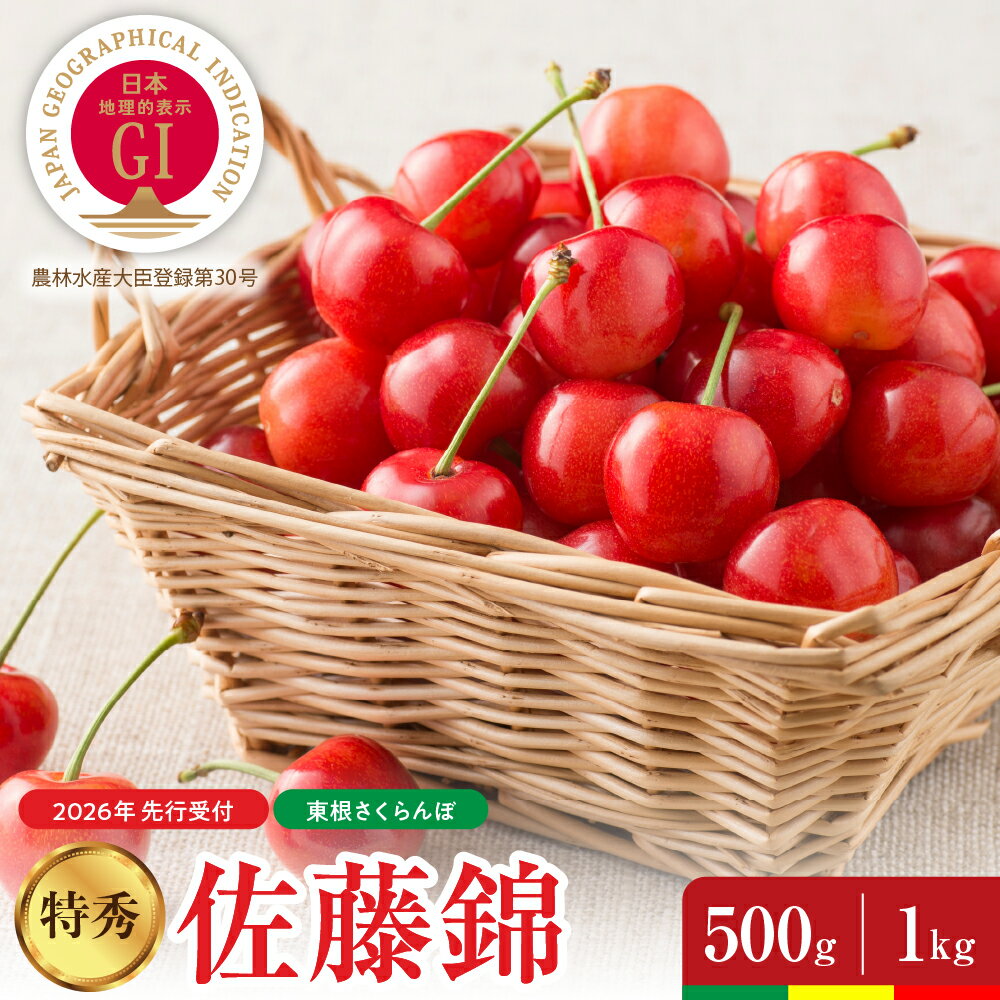 【ふるさと納税】 2026年産 さくらんぼ 真の桜桃 佐藤錦 ( 選べる内容量 500g / 1kg ) バラ詰め / サクランボ フルーツ 果物 くだもの 小分け 箱入り 化粧箱 先行予約 お取り寄せ グルメ ご当地 特産 産地直送 送料無料 期間限定 大容量 冷蔵配送 山形県 東根市