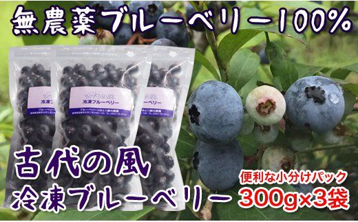古代の風　『無農薬ブルーベリー』　900g（300ｇ×3個）<1-57>