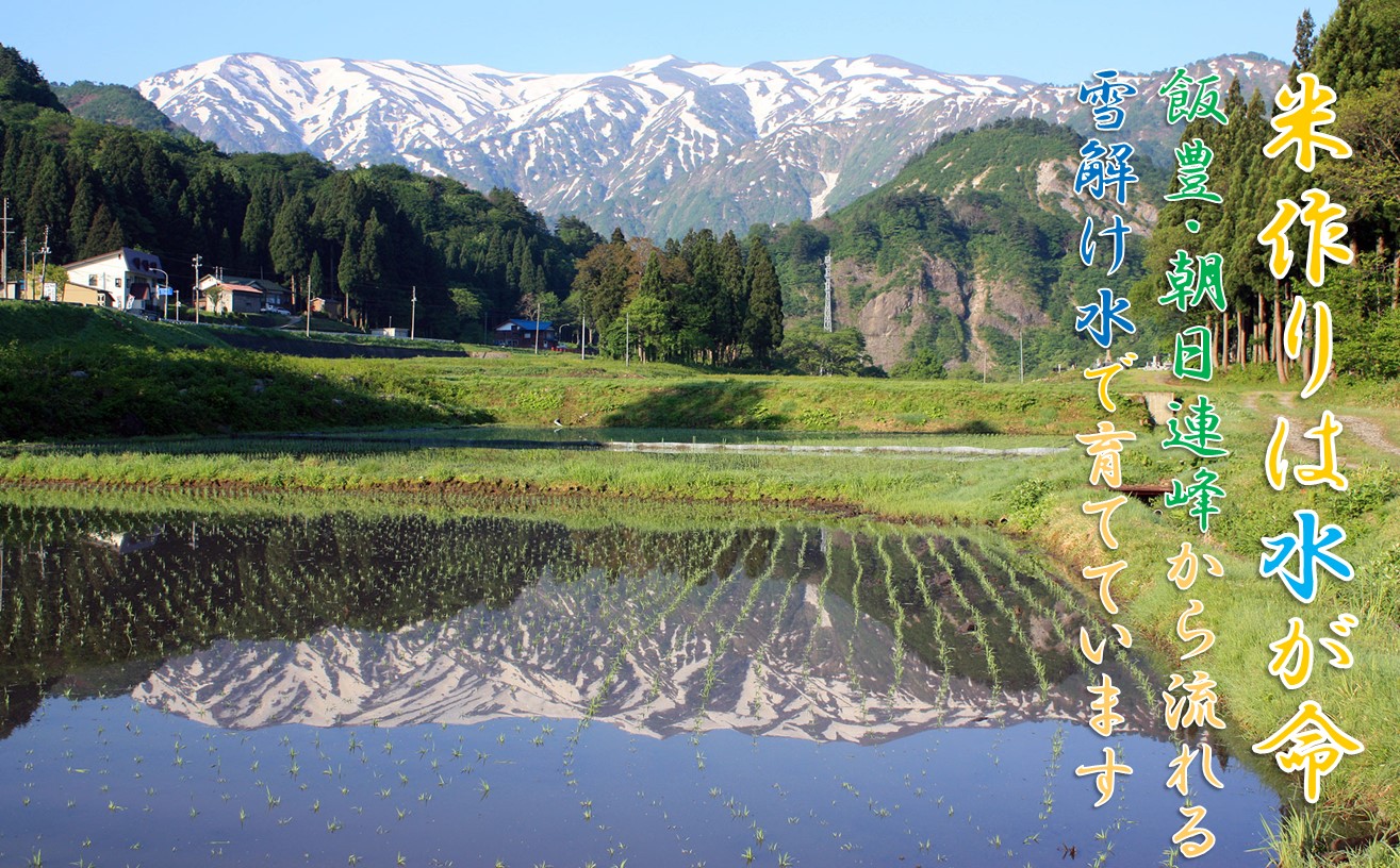 【令和７年産米 先行予約】つや姫5kg　高橋　