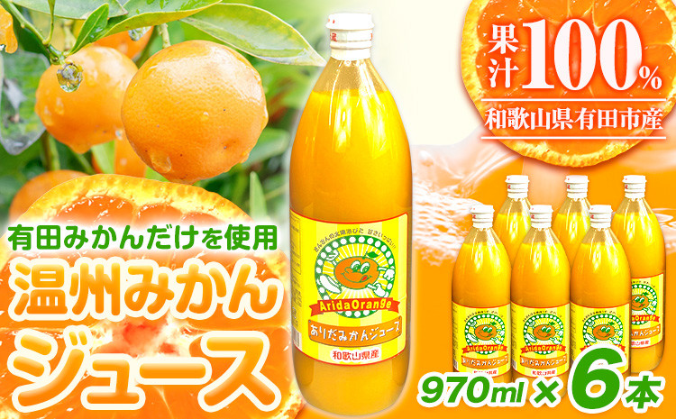 
みかん ジュース 和歌山 有田産 100% 温州 みかん ジュース 970ml × 6本 セット 太千青果物《30日以内に発送予定(土日祝除く)》和歌山県 日高町 蜜柑 果汁 100％ ストレート 柑橘 果物 添加物不使用 送料無料
