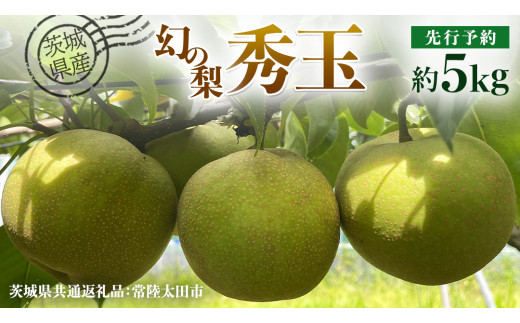 【 先行予約 】茨城県産 『幻の梨』 秀玉 約5kg 11玉～14玉( 茨城県共通返礼品 : 常陸太田市 )【 2025年 8月下旬頃より発送 】 フルーツ 果物 国産 日本産 梨 ナシ なし 和梨 期間限定 数量限定 [EN006us]
