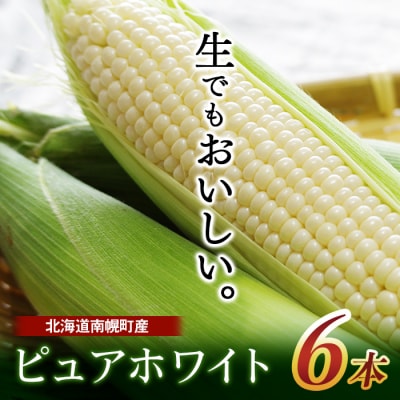 北海道産 とうもろこし ピュアホワイト 6本 令和6年配送 一番果 とうきび 産地直送