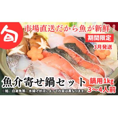 ふるさと納税 むつ市 【期間限定】3月発送開始　旬の魚介類寄せ鍋セット【3〜4人前】