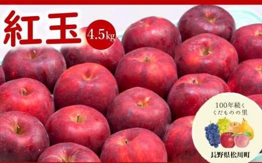 AS05 りんご 紅玉（松川町産）秀品 約4.5kg ／2026年10月上旬～10月下旬頃 配送予定 // 長野県 南信州 松川町 りんご リンゴ 林檎 紅玉 贈答