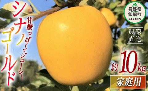 りんご シナノゴールド 家庭用 10kg ファームトヤ 沖縄県への配送不可 2024年11月中旬頃から2024年12月下旬頃まで順次発送予定 令和6年度収穫分 農家直送 長野県 飯綱町 [1145]