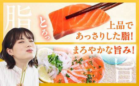 玄海サーモン柵80g×6袋 / 佐賀県 / 株式会社九州特産品販売 [41AECT008]