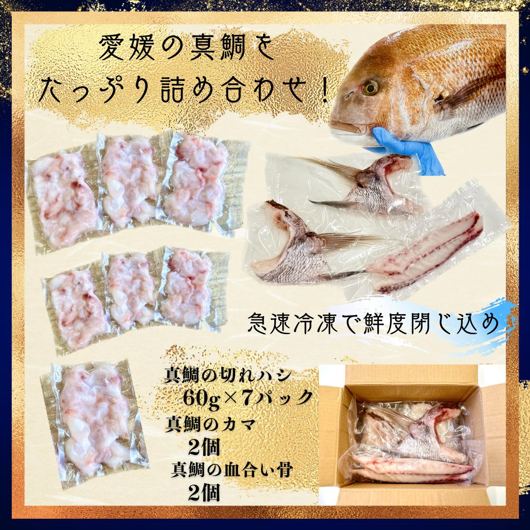 
さかなやのまかない食材【愛媛の真鯛】生食用切り落とし１パック付き【V001740】
