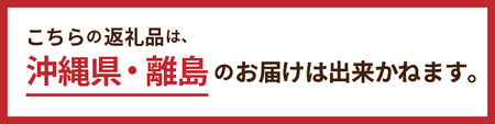 濃厚チョコガナッシュケーキ