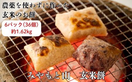 （2026年9～11月発送）農薬を使わずに作った玄米100％の玄米餅　6パック ／ 餅 もち モチお餅 おもち 玄米 玄米餅 玄米もち 切り餅 みやもと山 千葉県 匝瑳市 送料無料