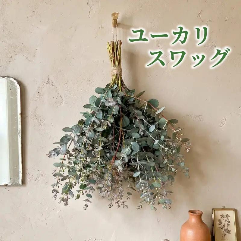フレッシュ グニユーカリ スワッグ / 約30cm 約30本 | 【2026年9月上旬頃より順次発送予定】ユーカリ ゆーかり 【KNN009】