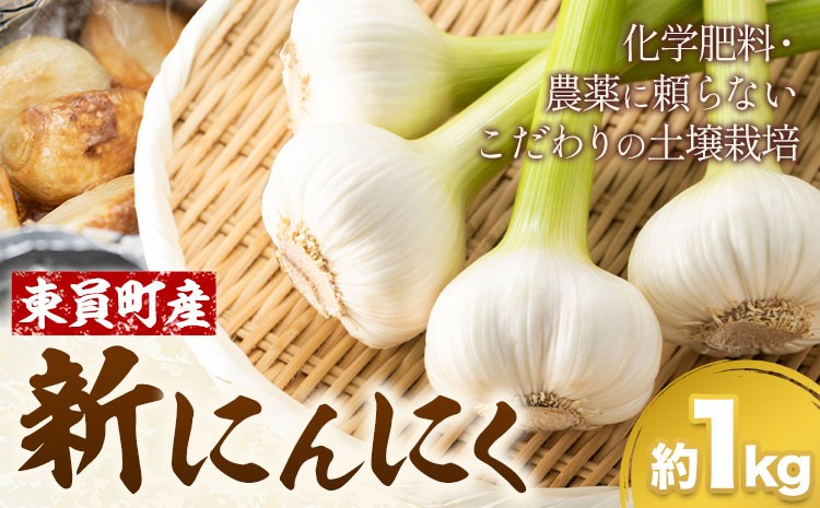 旬の香り！ みずみずしい新にんにく 約1kg 東員町産 《2027年6月上旬‐6月下旬頃に出荷予定(土日祝除く)》三重県 東員町 にんにく ニンニク 大蒜 薬味 送料無料 生にんにく 香味野菜 薬味 野菜 国産