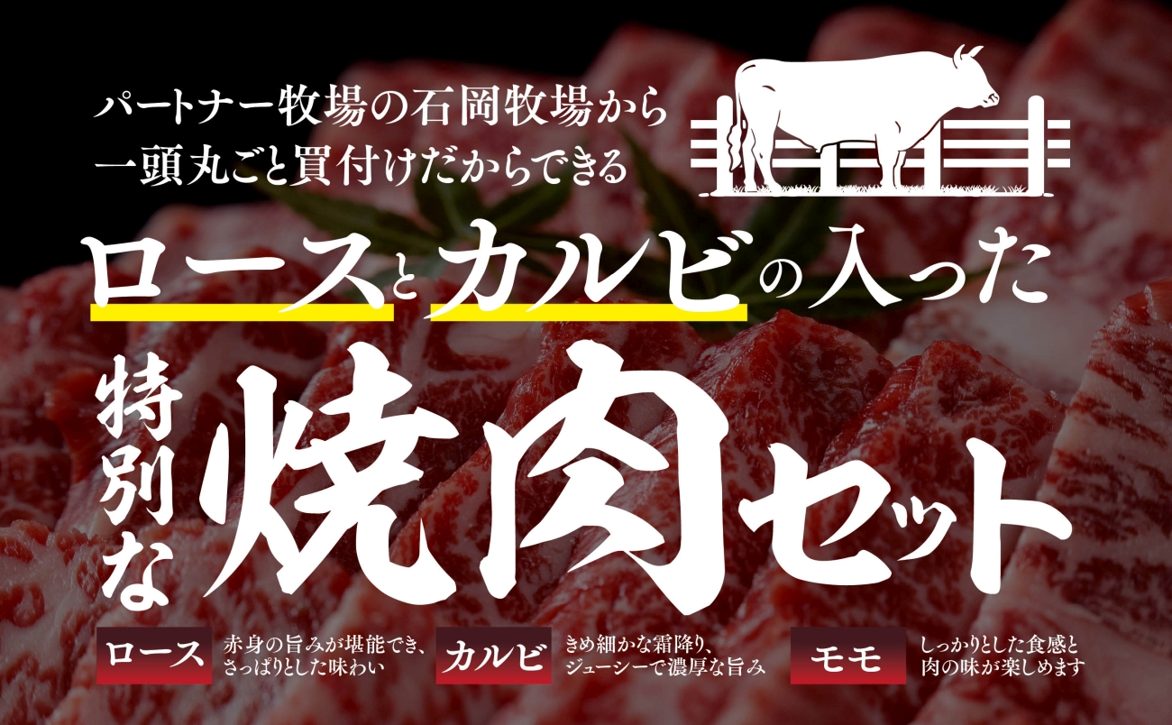 【将軍牛】特選焼肉セット ロース カルビ もも 3種類 1kg【配送不可地域：離島・北海道・沖縄県】【1652120】