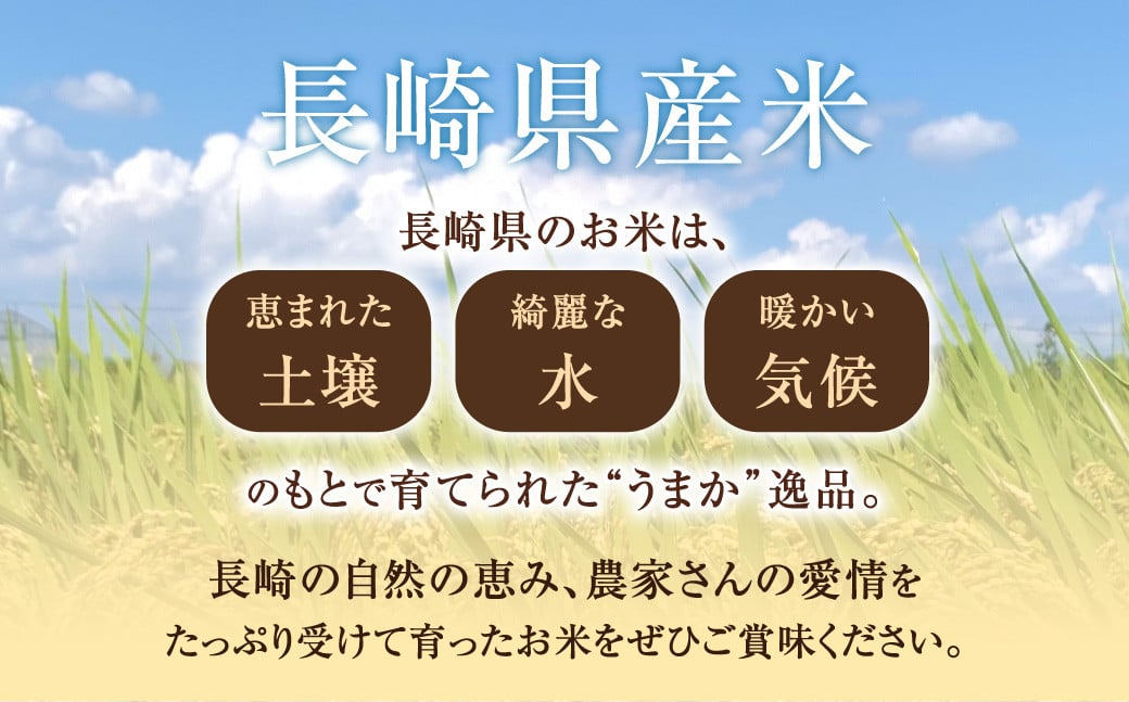 【令和6年産】無洗米 長崎 なつほのか 計10kg（5kg×2袋）  ／ お米 米 こめ コメ