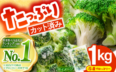 冷凍ブロッコリー 1kg ブロッコリー / 池田海陸物産[SEW006]