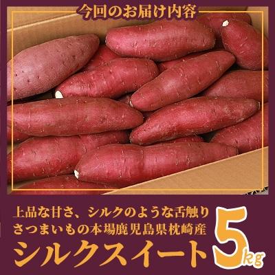 ふるさと納税 枕崎市 シルクスイート 〈5キロ〉 サツマイモ さつまいも 鹿児島県 A3-346 |  | 03