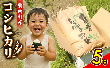 【 令和8年産 】 新米 コシヒカリ 5kg  精米 白米 和家農園 