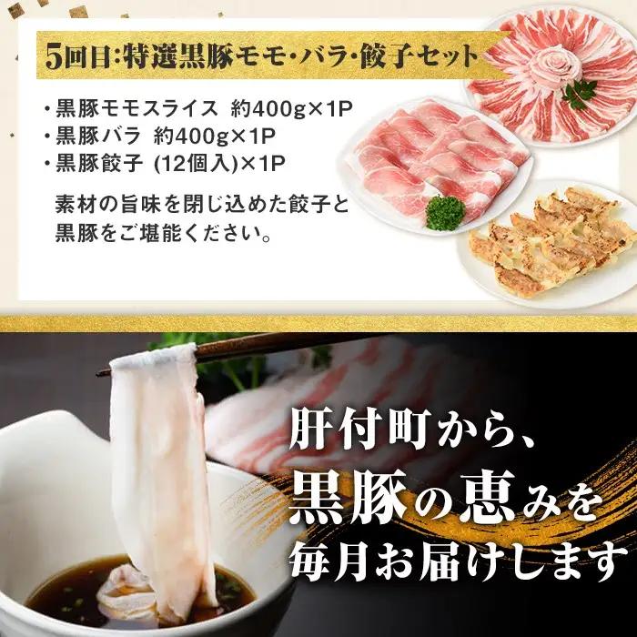 ＜定期便・全5回＞かごしま黒豚まんぞく定期便B (月1回×5ヶ月) 国産 黒豚 焼豚 肩ロース 餃子 しゃぶしゃぶ【和田養豚】D02007
