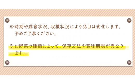 6ヶ月定期便 旬の新鮮野菜・果物詰合せセット(計6回お届け) 10-15品目  道の駅竜北《お申込み月の翌月から出荷開始》---sh_cmitysibtei_21_124000_mo6num1---