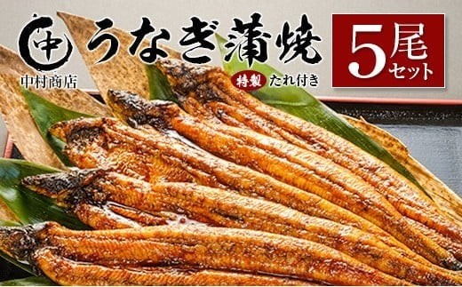 ◆中村商店 うなぎ蒲焼5尾セット 計905g以上