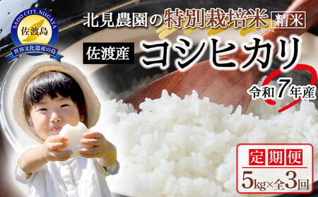 【令和7年産】＜米 定期便 全3回＞北見農園の特別栽培米 佐渡産コシヒカリ（5kg×全3回）農家自慢の逸品 精米