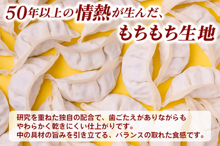 肉と野菜の究極のバランス『宇都宮AQ餃子』2.1kg｜餃子 ぎょうざ ギョーザ ビッグ餃子 大容量 冷凍 国産野菜 国産豚肉 おかず グルメ 簡単調理 お手軽 日光市 栃木県 栄久食品 [0654]