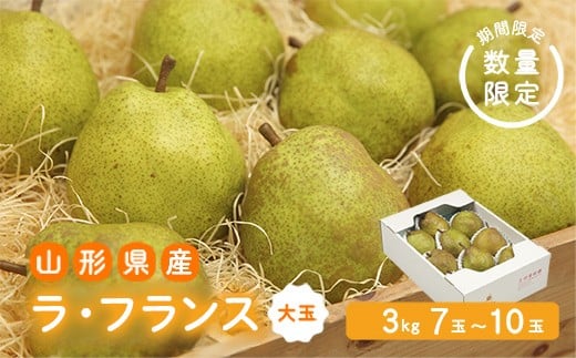 《先行予約 2026年度発送》【王将果樹園】ラ・フランス大玉3kg～生産量日本一のまちより～  なし ナシ 梨 デザート フルーツ 果物 くだもの 果実 食品 山形県 FSY-2684