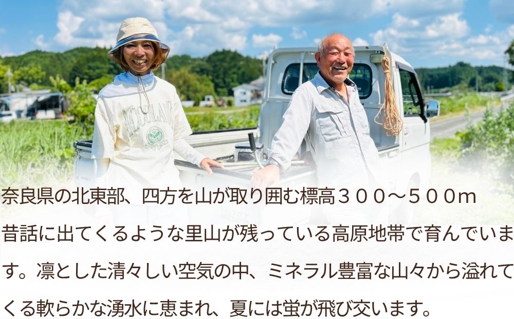 ＜令和7年産・先行予約＞自然栽培米 玄米 3kg 9月末より順次発送 ／ ふるさと納税 無農薬 米 お米 こめ コメ 国産 新米 農家やまおか 奈良県 宇陀市