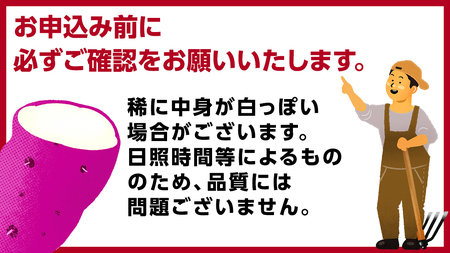 茨城県産 紅はるか 5kg 土付き 無選別 熟成 さつまいも