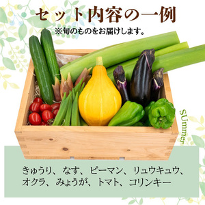 【 野菜 】 野菜定期便6回
