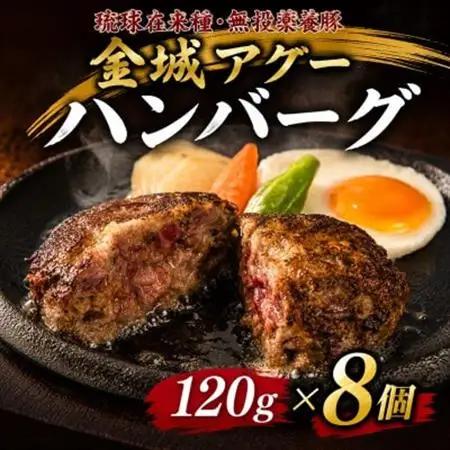 【琉球在来種・無投薬養豚】金城アグーハンバーグ 120g×8個【配送不可地域：離島】【1731178】