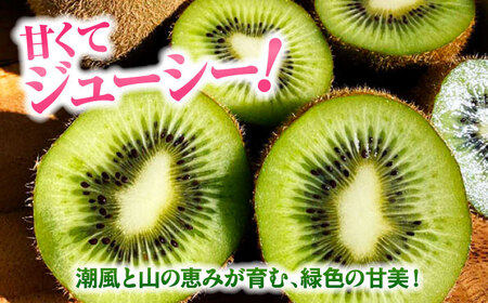 【先行予約】キウイフルーツ 大玉(3L～4L玉) 約150g×16個 大洲市/西村農園[AGDC003]キウイフルーツキウイフルーツキウイフルーツキウイフルーツ