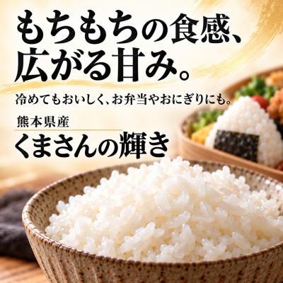 ふるさと納税 玉名市 【毎月定期便】熊本県産 くまさんの輝き 無洗米 毎月5kg × 全6回【総量30kg】 |  | 01