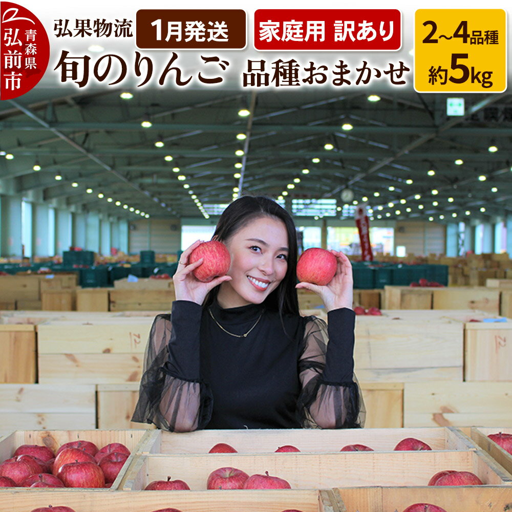 【ふるさと納税】りんご【1月発送】家庭用 訳あり 旬のりんご 品種おまかせ 約5kg 2品種〜4品種