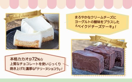 ベイクドチーズケーキ＆濃厚テリーヌショコラセット_LF-C201_ (都城市) カカオ分72％ チョコレート ヨーグルトの酸味 クリームチーズ 洋菓子 お菓子 スイーツ 四角いケーキ 冷凍 おやつ シ