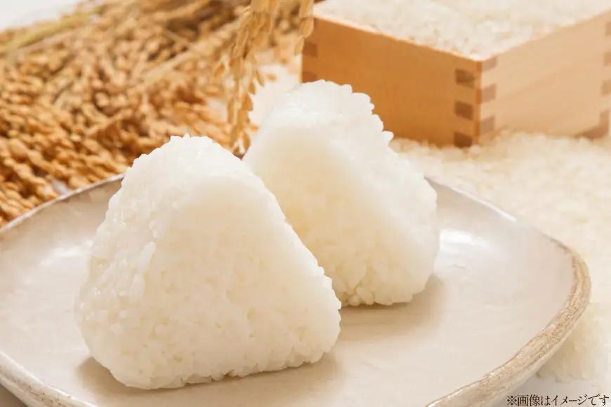 米 コシヒカリ 令和7年産 5kg