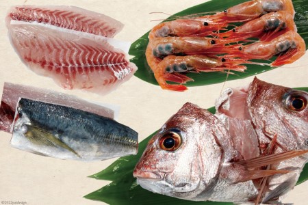 魚 富山湾直送 さばいた鮮魚セット 3～4種 旬 新鮮 鮮魚 刺身 詰め合わせ 産地直送 冷蔵/くろべ漁業協同組合 魚の駅「生地」/富山県 黒部市 海鮮 魚介類 魚介 