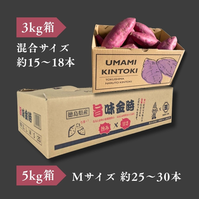 【予約受付中・2026年11月中旬頃より順次発送】鳴門市大津産　旨味金時 5kg　鳴門　ほくほく　天ぷら　焼き芋　スイーツ　さつまいも　