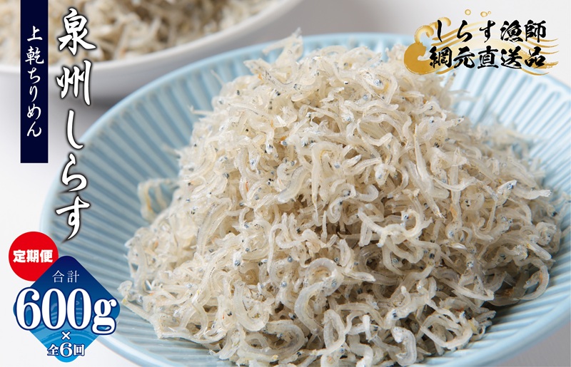 上乾ちりめんしらす 600g×全6回【定期便 小分け シラス しらす sirasu 海鮮 人気 おすすめ 産地直送 大阪 泉佐野 大阪府 泉佐野市】