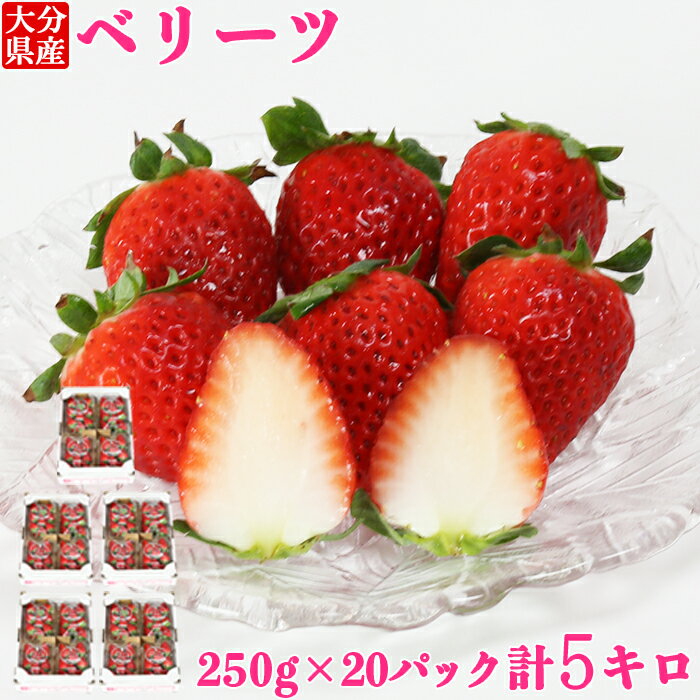 【ふるさと納税】大分県産 ベリーツ 約5kg（約250g×20パック）／ いちご 5kg 先行予約 1月 2月 甘い フルーツ 苺 スイーツ ＜133-002＞