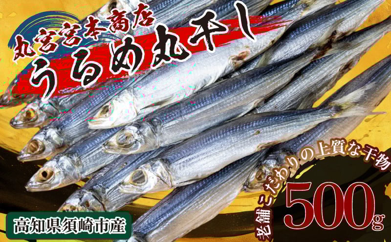 
            うるめいわし 500g 干物 鰯 煮干し 真いわし 真鰯 稚魚 おやつ 乾物 魚介 加工品 ウルメ 丸宮 宮本 商店 土佐 海洋深層水 ミネラル 高知県 須崎市 MMY020-all 
          